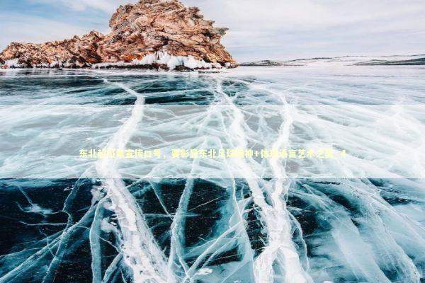 东北超征集宣传口号，要彰显东北足球精神+体现语言艺术之美_4 新闻