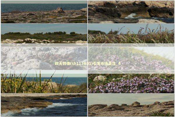 皖天转债(sh113631)引发市场关注_4