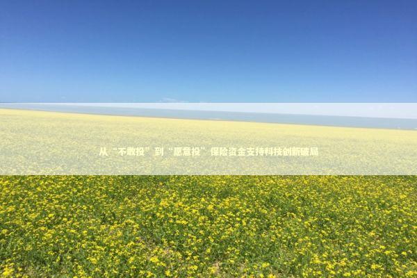 从“不敢投”到“愿意投”保险资金支持科技创新破局 新闻