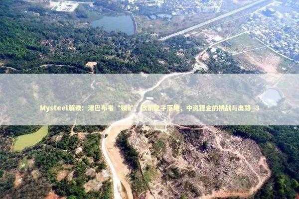 Mysteel解读：津巴布韦“锁矿”政策靴子落地，中资锂企的挑战与出路_3 新闻