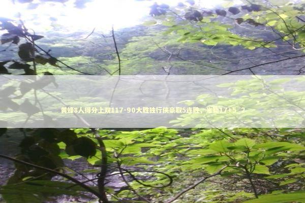 黄蜂8人得分上双117-90大胜独行侠豪取5连胜，米勒17+5_2 新闻