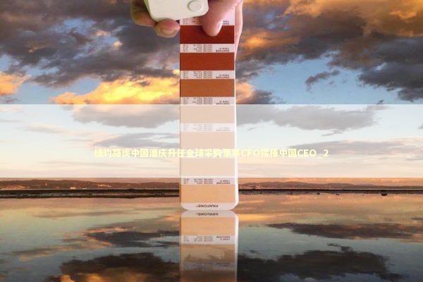 捷豹路虎中国潘庆升任全球采购董事CFO接棒中国CEO_2 新闻