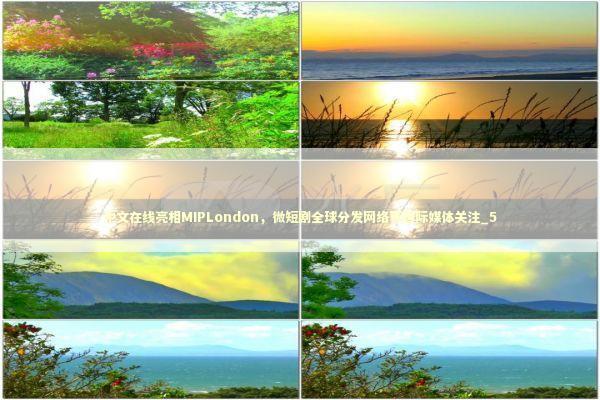 中文在线亮相MIPLondon,微短剧全球分发网络获国际媒体关注_5 中文在线亮相MIPLondon,微短剧全球分发网络获国际媒体关注_5 新闻