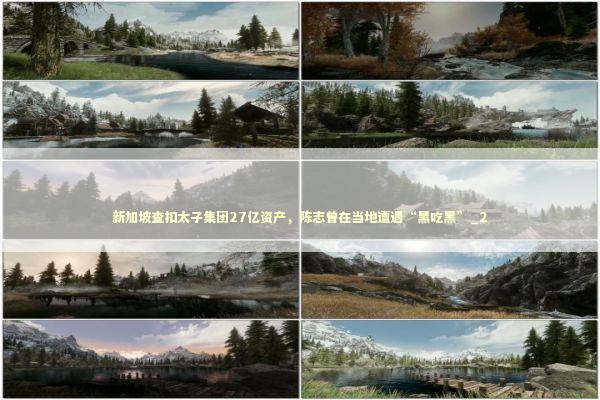 新加坡查扣太子集团27亿资产，陈志曾在当地遭遇“黑吃黑”_2 新闻