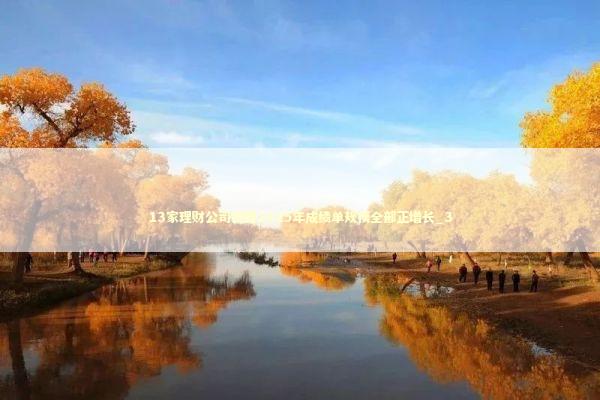 13家理财公司披露2025年成绩单规模全部正增长_3 新闻