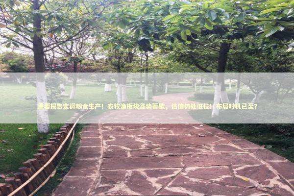 重要报告定调粮食生产！农牧渔板块涨势暂歇，估值仍处低位！布局时机已至？ 新闻