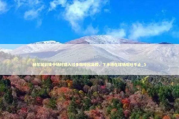 赫尔城前锋中场时摄入过多咖啡因凝胶,下半场在球场呕吐不止_5 赫尔城前锋中场时摄入过多咖啡因凝胶,下半场在球场呕吐不止_5 新闻