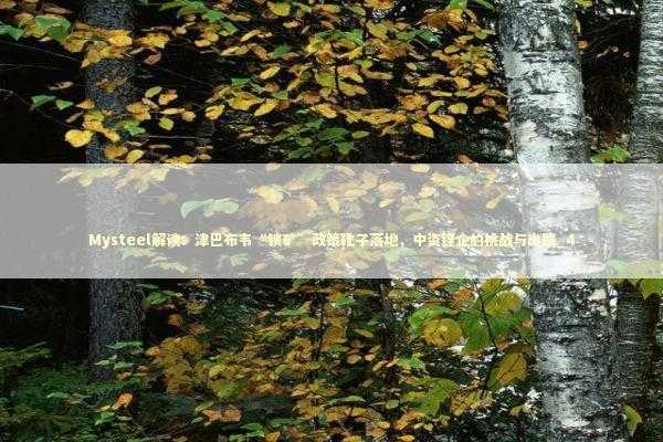 Mysteel解读：津巴布韦“锁矿”政策靴子落地，中资锂企的挑战与出路_4 新闻