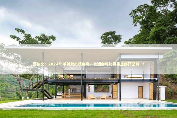 郑钦文：2024年手肘就出现疼痛，奥运会等比赛靠止疼药坚持_3 新闻