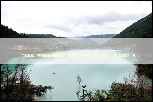 “十五五”规划纲要草案提出“稳步扩大中等收入群体规模”,如何实现?_6 “十五五”规划纲要草案提出“稳步扩大中等收入群体规模”,如何实现?_6 新闻