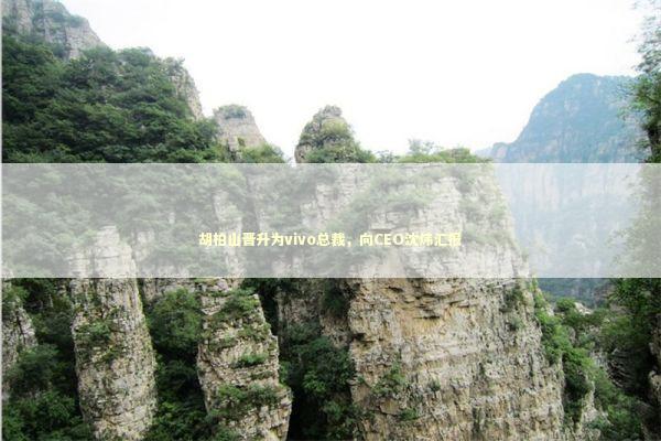 胡柏山晋升为vivo总裁，向CEO沈炜汇报 新闻