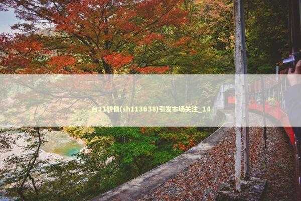 台21转债(sh113638)引发市场关注_14 台21转债(sh113638)引发市场关注_14 新闻