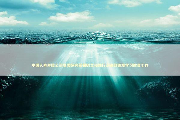中国人寿寿险公司党委研究部署树立和践行正确政绩观学习教育工作 新闻
