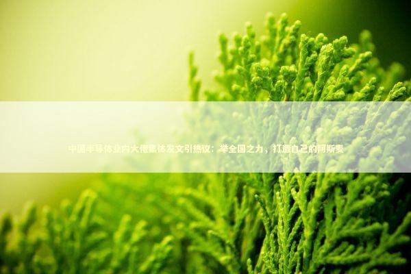 中国半导体业内大佬集体发文引热议：举全国之力，打造自己的阿斯麦 新闻