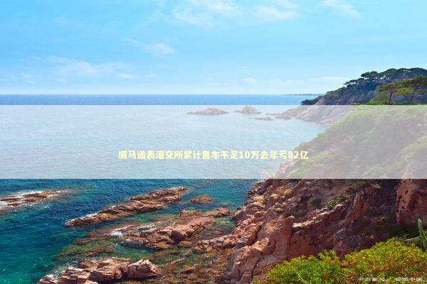 威马递表港交所累计售车不足10万去年亏82亿 新闻