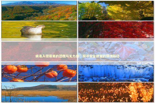 病毒入侵带来的恐慌与无力感：探寻安全修复的便捷路径 新闻