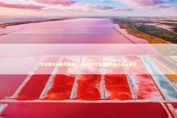 家庭聚会的隐私隐患：一位母亲意外掌握的通讯安全秘诀