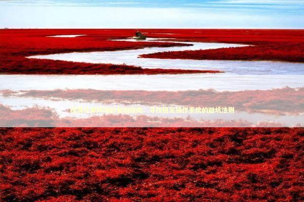 经典计算环境的复刻指南：寻找稳定操作系统的避坑法则 IT技术