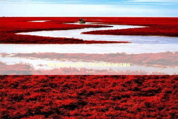 轻松找到SafeW官网：实用访问指南与避坑建议 IT技术