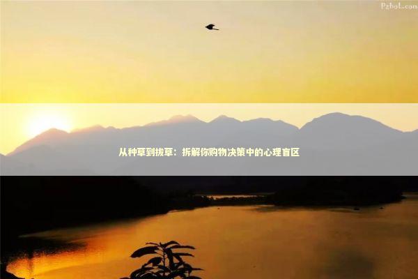 从种草到拔草：拆解你购物决策中的心理盲区